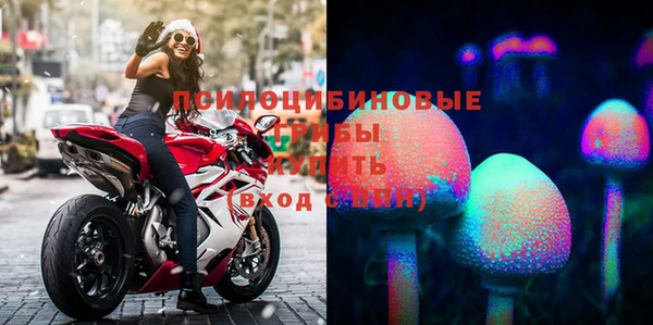 мескалин Алексин