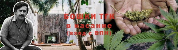 2c-b Алзамай