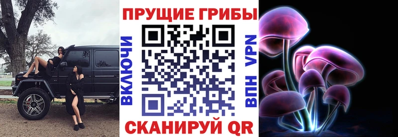 Галлюциногенные грибы Magic Shrooms  где купить   Северодвинск 